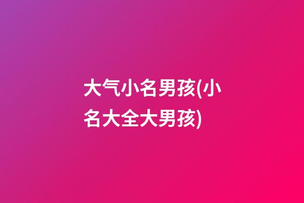 大气小名男孩(小名大全大男孩)