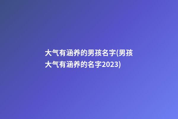 大气有涵养的男孩名字(男孩大气有涵养的名字2023)