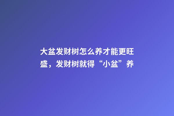 大盆发财树怎么养才能更旺盛，发财树就得“小盆”养-第1张-观点-玄机派