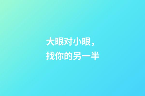 大眼对小眼，找你的另一半