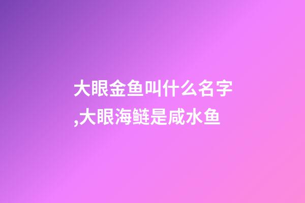 大眼金鱼叫什么名字,大眼海鲢是咸水鱼-第1张-观点-玄机派