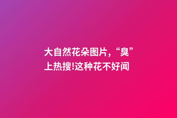 大自然花朵图片,“臭”上热搜!这种花不好闻-第1张-观点-玄机派