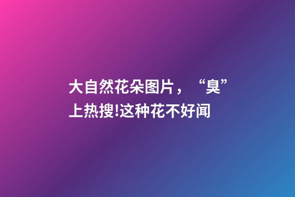 大自然花朵图片，“臭”上热搜!这种花不好闻-第1张-观点-玄机派