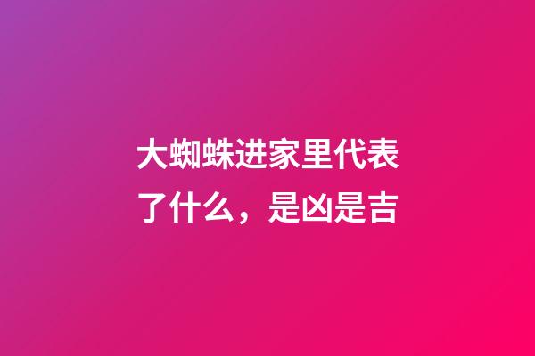 大蜘蛛进家里代表了什么，是凶是吉