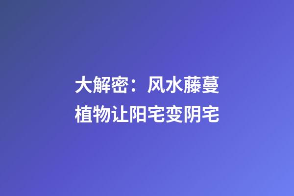 大解密：风水藤蔓植物让阳宅变阴宅