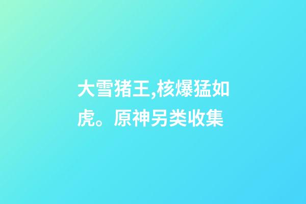 大雪猪王,核爆猛如虎。原神另类收集-第1张-观点-玄机派