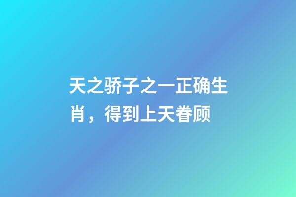 天之骄子之一正确生肖，得到上天眷顾-第1张-观点-玄机派