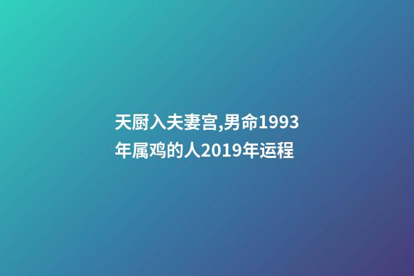 天厨入夫妻宫,男命1993年属鸡的人2019年运程-第1张-观点-玄机派