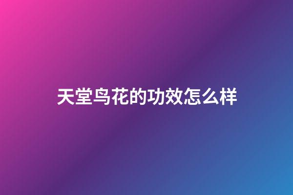 天堂鸟花的功效怎么样
