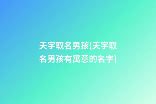 天字取名男孩(天字取名男孩有寓意的名字)