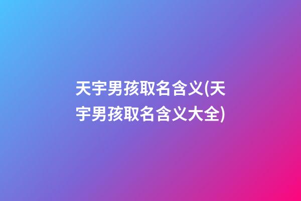 天宇男孩取名含义(天宇男孩取名含义大全)
