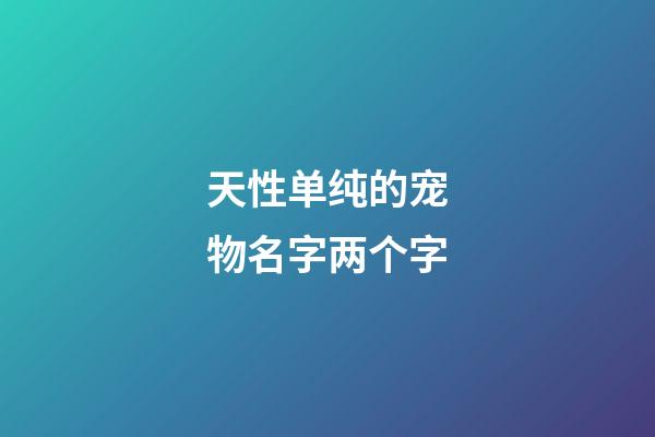 天性单纯的宠物名字两个字