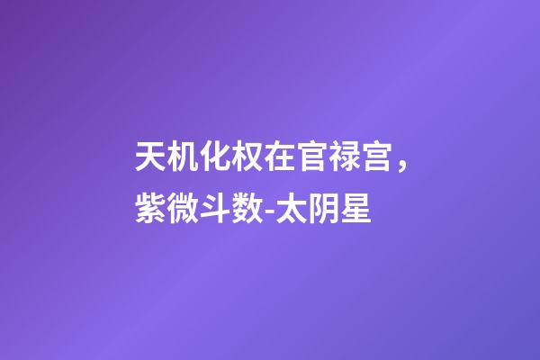 天机化权在官禄宫，紫微斗数-太阴星-第1张-观点-玄机派