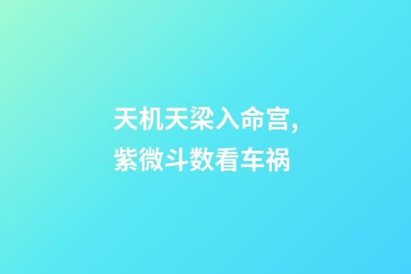 天机天梁入命宫,紫微斗数看车祸-第1张-观点-玄机派