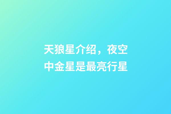 天狼星介绍，夜空中金星是最亮行星-第1张-观点-玄机派