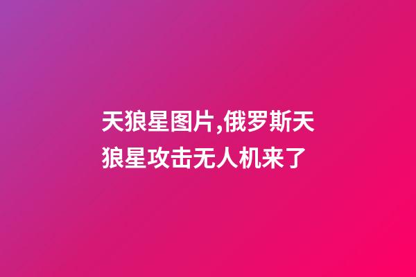 天狼星图片,俄罗斯天狼星攻击无人机来了-第1张-观点-玄机派