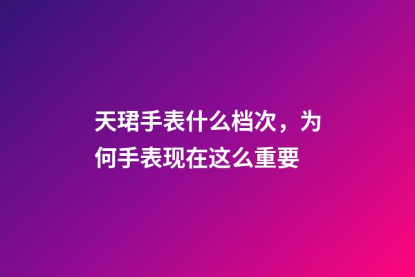 天珺手表什么档次，为何手表现在这么重要-第1张-观点-玄机派
