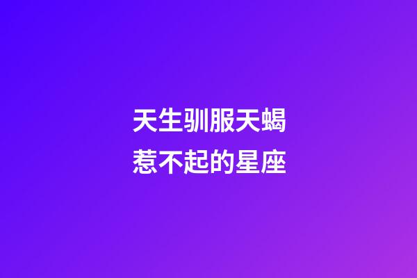 天生驯服天蝎惹不起的星座-第1张-星座运势-玄机派