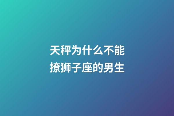 天秤为什么不能撩狮子座的男生-第1张-星座运势-玄机派