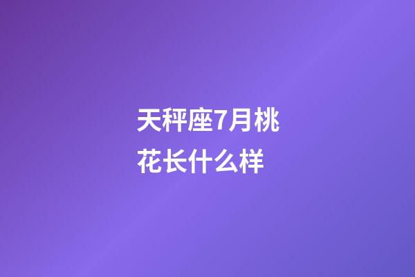 天秤座7月桃花长什么样-第1张-星座运势-玄机派