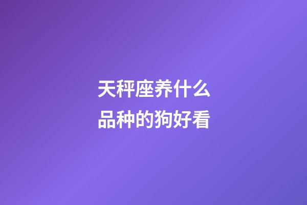 天秤座养什么品种的狗好看-第1张-星座运势-玄机派