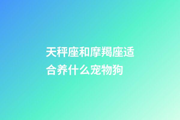 天秤座和摩羯座适合养什么宠物狗-第1张-星座运势-玄机派