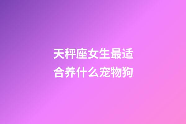 天秤座女生最适合养什么宠物狗-第1张-星座运势-玄机派