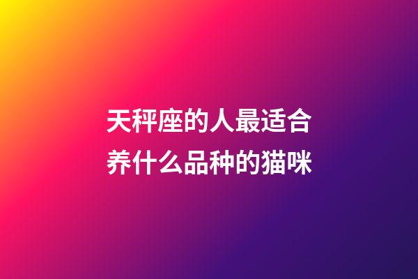 天秤座的人最适合养什么品种的猫咪-第1张-星座运势-玄机派
