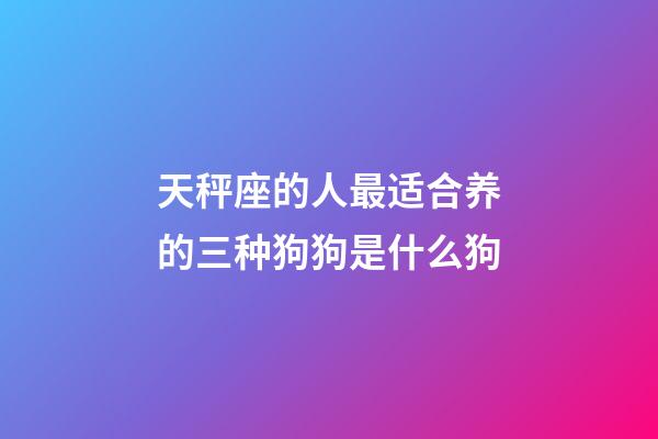 天秤座的人最适合养的三种狗狗是什么狗-第1张-星座运势-玄机派