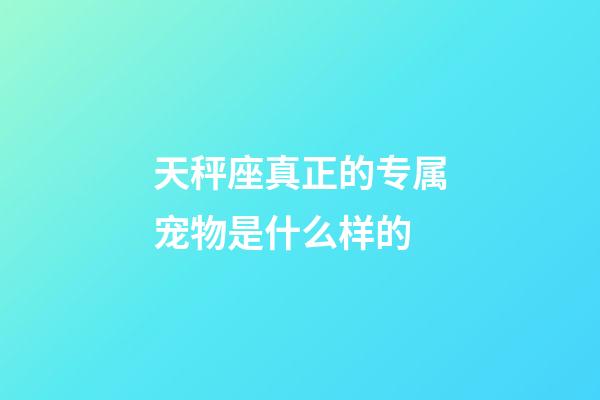 天秤座真正的专属宠物是什么样的