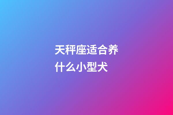 天秤座适合养什么小型犬-第1张-星座运势-玄机派