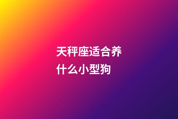 天秤座适合养什么小型狗-第1张-星座运势-玄机派