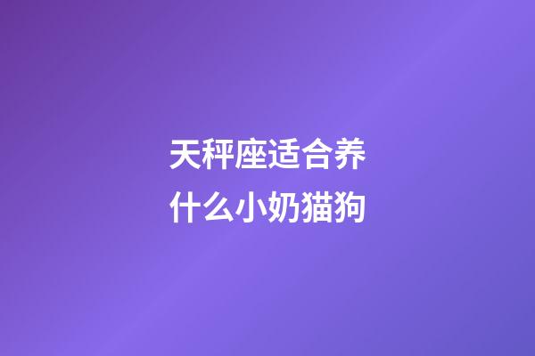 天秤座适合养什么小奶猫狗-第1张-星座运势-玄机派