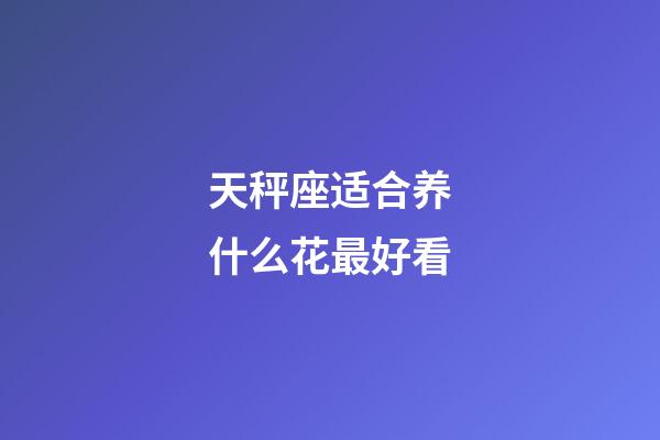 天秤座适合养什么花最好看-第1张-星座运势-玄机派