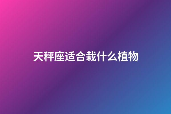 天秤座适合栽什么植物-第1张-星座运势-玄机派