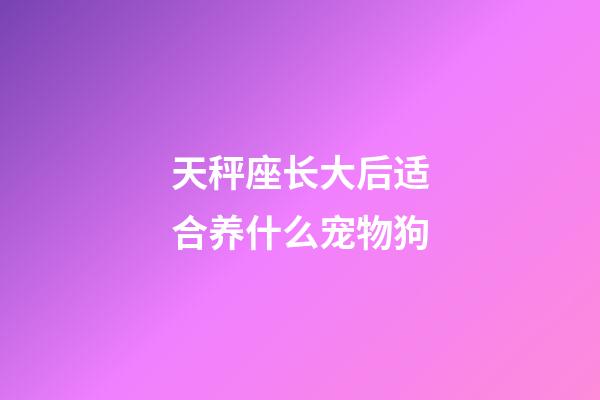 天秤座长大后适合养什么宠物狗-第1张-星座运势-玄机派