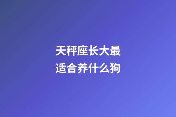 天秤座长大最适合养什么狗-第1张-星座运势-玄机派
