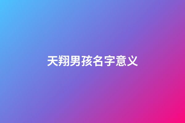天翔男孩名字意义(天翔这个名字好吗)-第1张-男孩起名-玄机派