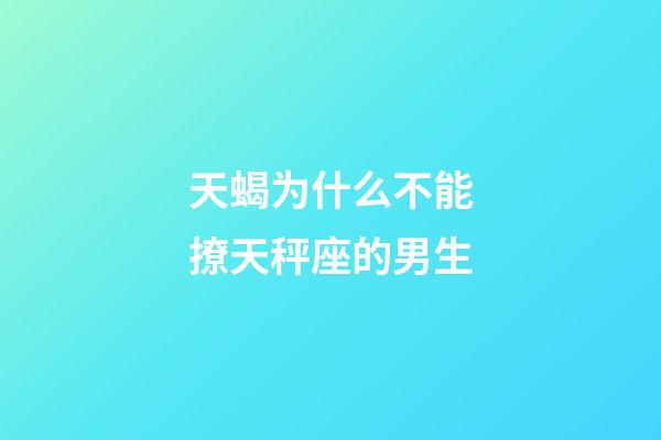 天蝎为什么不能撩天秤座的男生-第1张-星座运势-玄机派