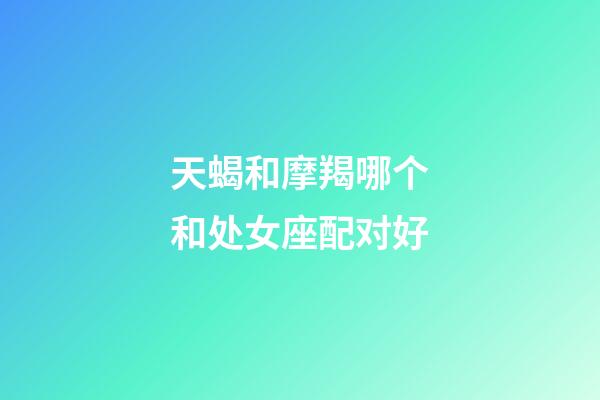 天蝎和摩羯哪个和处女座配对好-第1张-星座运势-玄机派