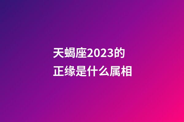 天蝎座2023的正缘是什么属相-第1张-星座运势-玄机派