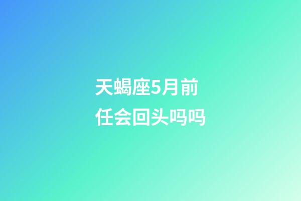 天蝎座5月前任会回头吗吗-第1张-星座运势-玄机派
