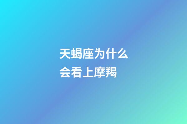 天蝎座为什么会看上摩羯-第1张-星座运势-玄机派