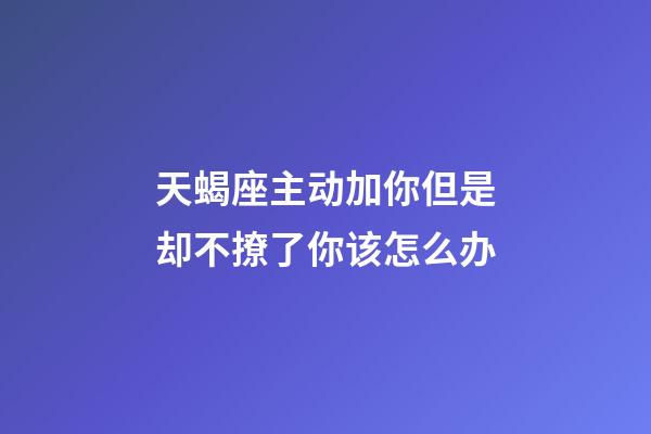 天蝎座主动加你但是却不撩了你该怎么办
