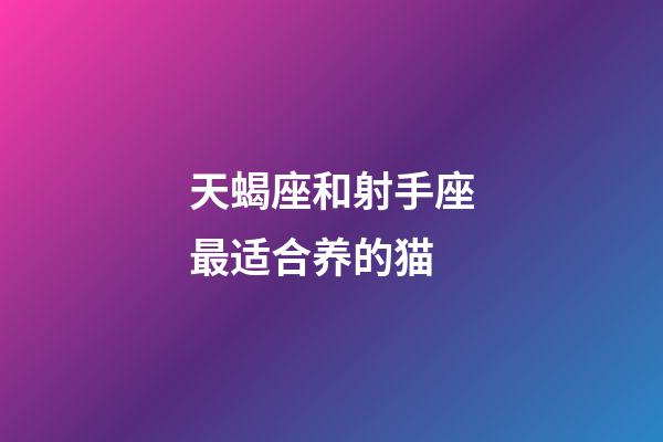 天蝎座和射手座最适合养的猫-第1张-星座运势-玄机派