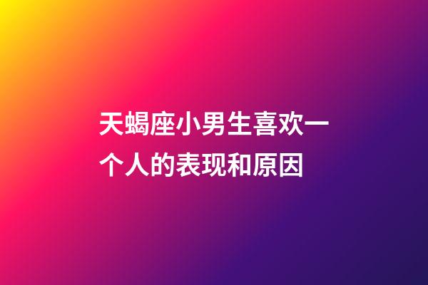 天蝎座小男生喜欢一个人的表现和原因-第1张-星座运势-玄机派