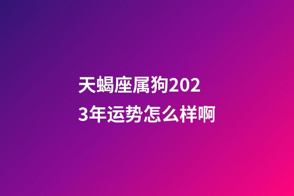 天蝎座属狗2023年运势怎么样啊-第1张-星座运势-玄机派