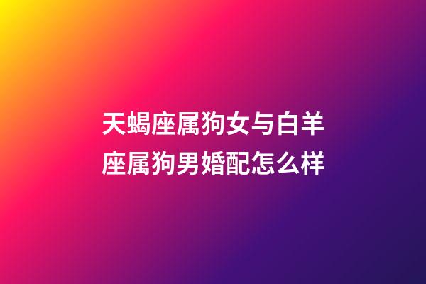 天蝎座属狗女与白羊座属狗男婚配怎么样-第1张-星座运势-玄机派