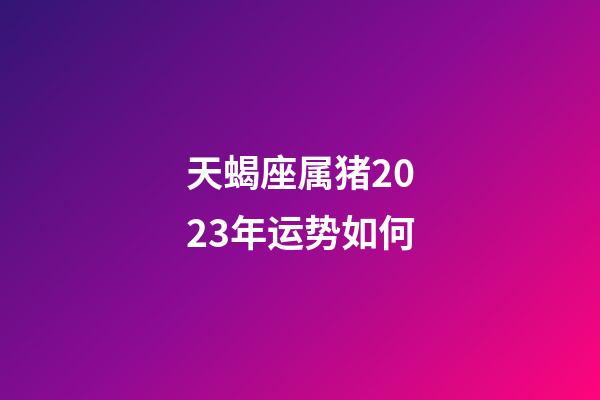 天蝎座属猪2023年运势如何-第1张-星座运势-玄机派