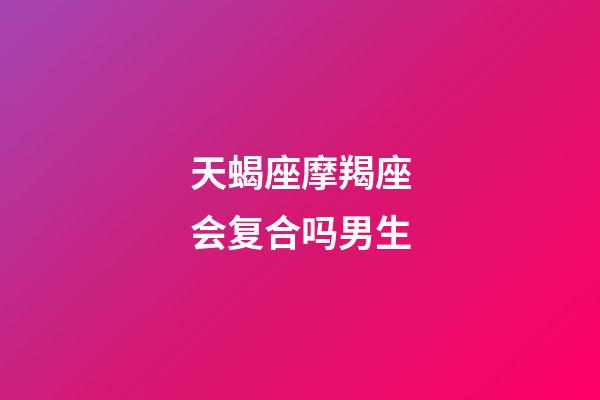 天蝎座摩羯座会复合吗男生-第1张-星座运势-玄机派